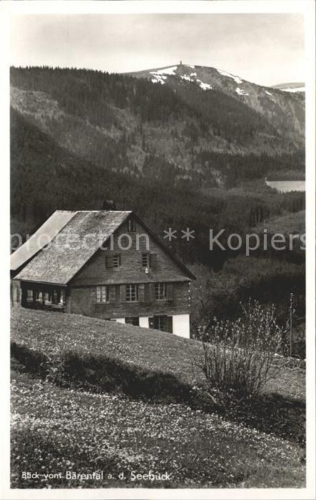 Feldberg Schwarzwald Blick vom Baerental