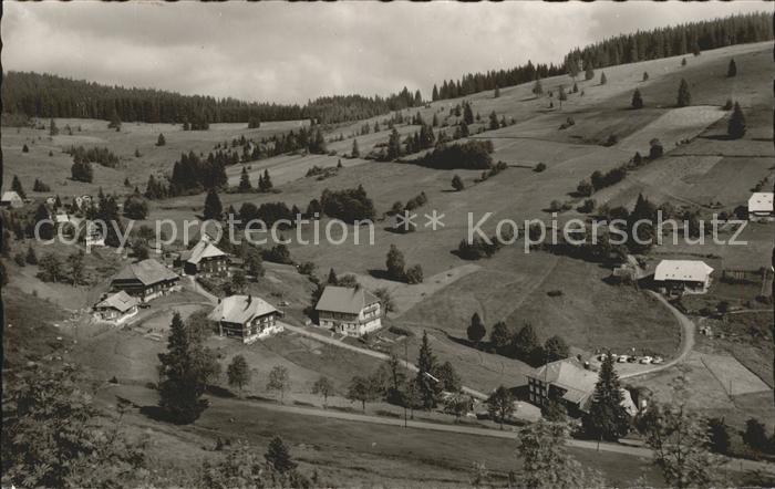 Neuglashuetten Pension Gasthaus Cafe Gruener Baum