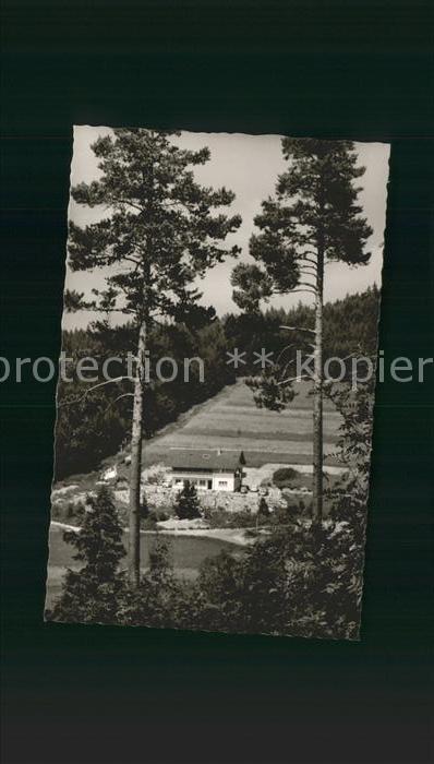 Bubenbach Hotel Sommerberg