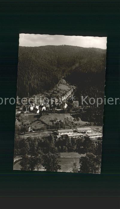 Hornberg Schwarzwald Fliegeraufnahme Schwarzwaldbahn