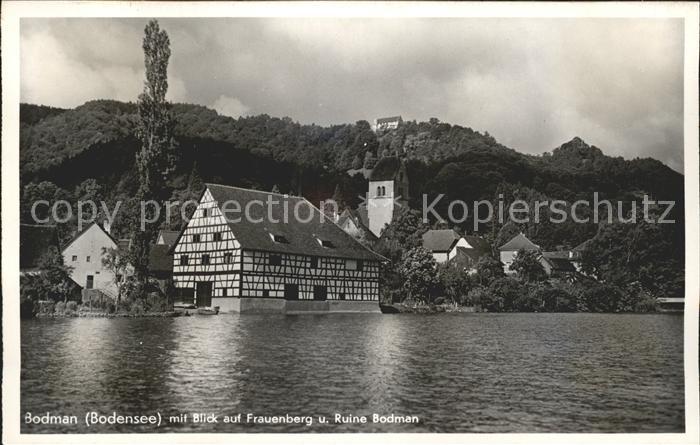 Bodman-Ludwigshafen Frauenberg Ruine