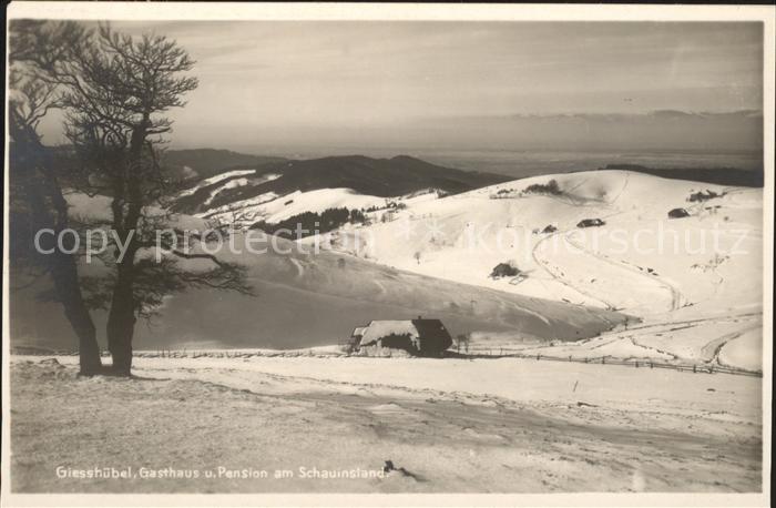 Schauinsland Gasthaus Pension Giesshuebel