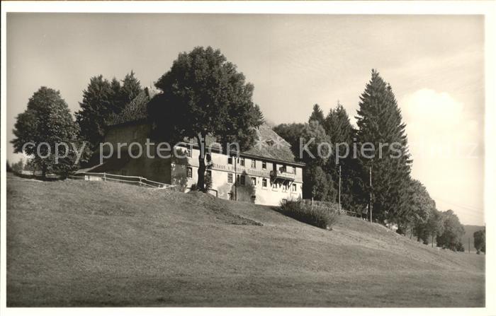 Schollach Eisenbach (Hochschwarzwald) Gasthaus Pension Schneckenhof