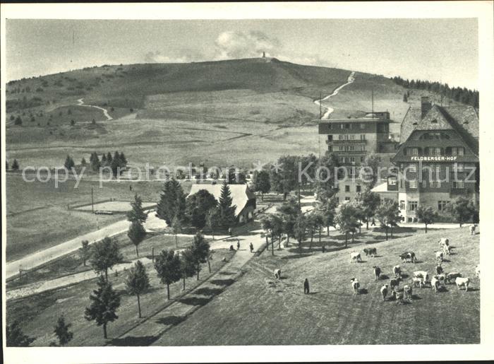 Feldberg Schwarzwald Hotel Feldbergerhof