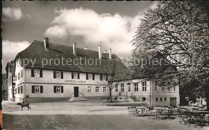 St Johann Wuerttemberg Gestuetsgasthof