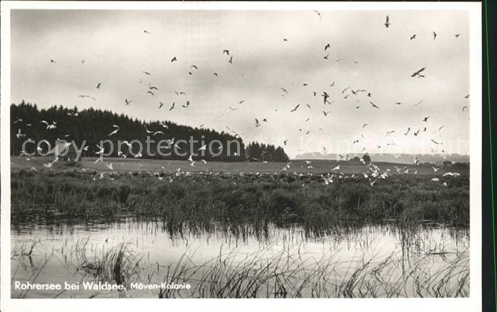 Bad Waldsee Roehrensee Moeven