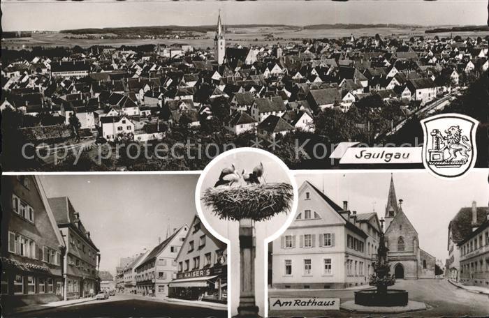 Saulgau Rathaus Storchen Panorama