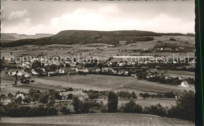 Wilhelmsdorf Wuerttemberg Fliegeraufnahme