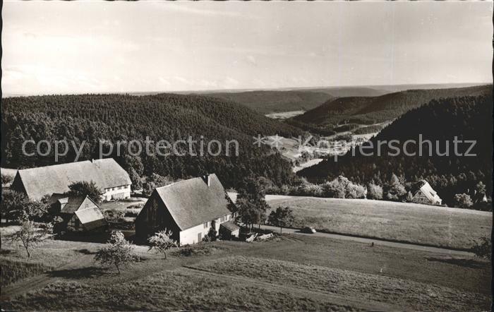 Schoemberg Schwarzwald Blumenhoefe