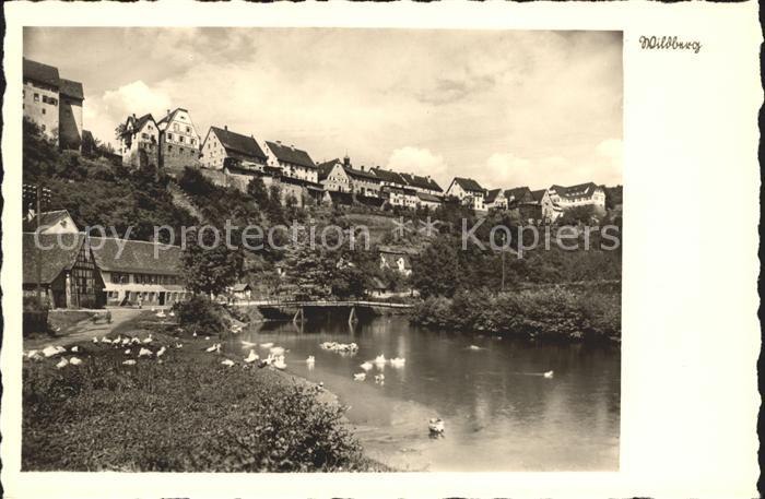 Wildberg Schwarzwald Partie am Fluss Enten Luftkurort Schwarzwald Buetten