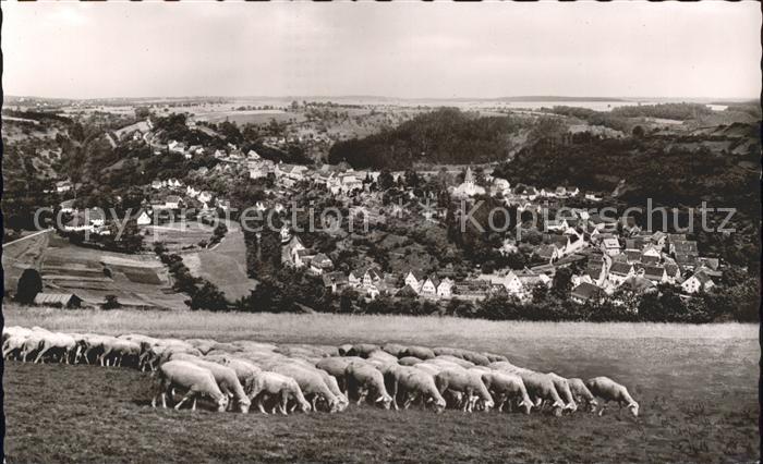 Wildberg Schwarzwald Panorama Luftkurort Schwarzwald Schafherde