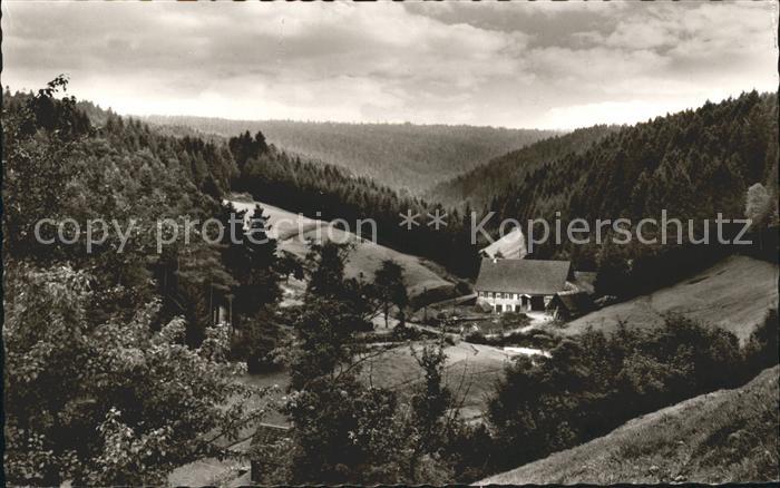 Besenfeld Gasthof zum Loewen Hoehenluftkurort und Wintersportplatz Schwarzwald