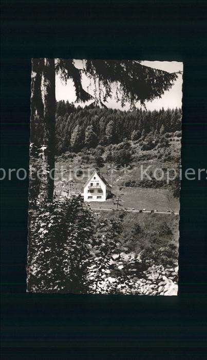 Kirschbaumwasen Pension Friedlinde im Murgtal