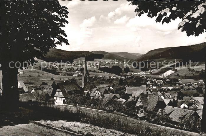 Baiersbronn Schwarzwald Panorama Luftkurort Wintersportplatz