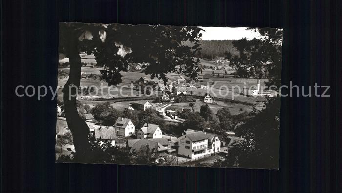 Baiersbronn Schwarzwald Blick vom Waldrand Gasthof Pension zur Bruecke Luftkuror
