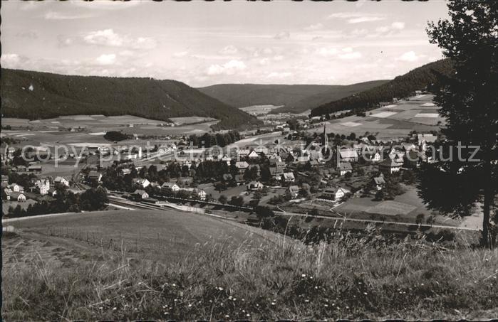Baiersbronn Schwarzwald Panorama Luftkurort und Wintersportplatz