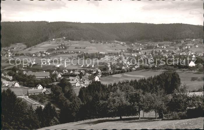 Baiersbronn Schwarzwald Panorama Luftkurort und Wintersportplatz