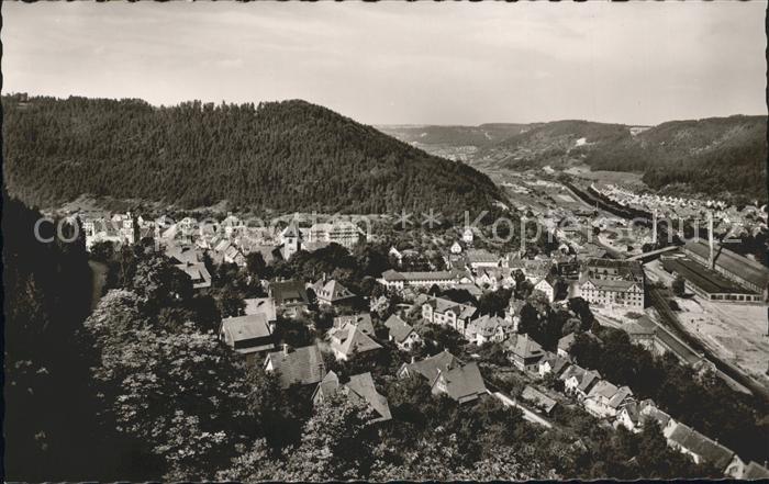 Oberndorf Neckar Panorama