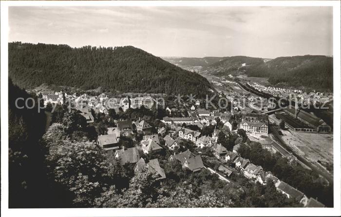 Oberndorf Neckar Panorama