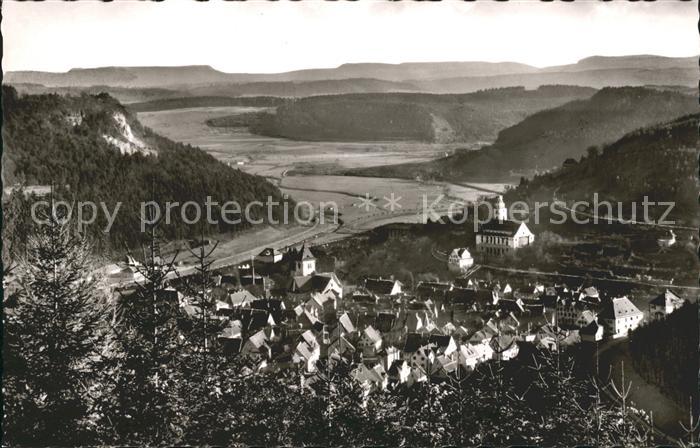 Oberndorf Neckar Panorama Blick ins Tal