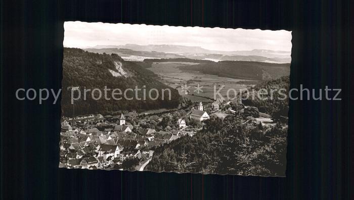Oberndorf Neckar Panorama Blick ins Tal