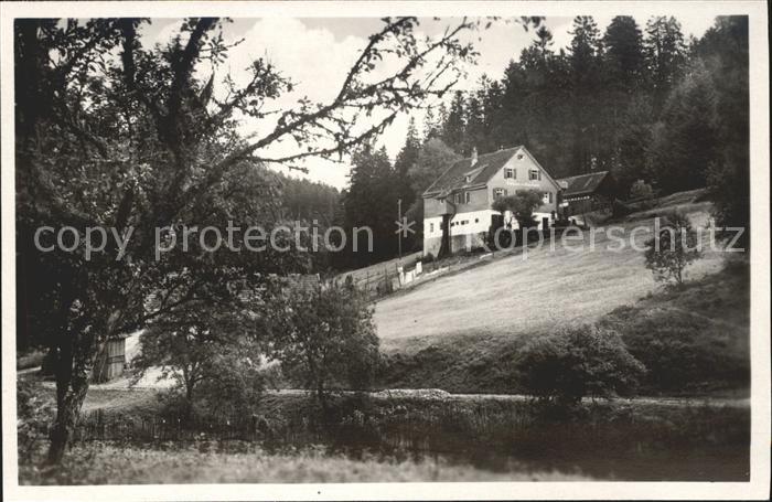 Hinterlangenbach Baiersbronn Gasthaus Pension zum Auerhahn im Murgtal