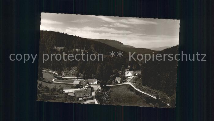 Zwickgabel Panorama Gasthaus Fremdenheim zum Mohren