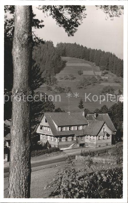 Obertal Baiersbronn Gasthaus Pension zum Schwanen