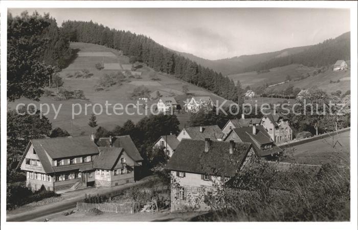 Obertal Baiersbronn Gathaus Pension zum Schwanen