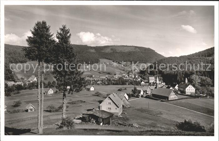 Obertal Baiersbronn Panorama Hotel Pension Adler Sommer und Wintersportplatz Sch