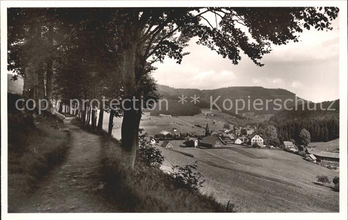 Obertal Baiersbronn Wanderweg Panorama Luftkurort