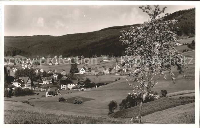 Obertal Baiersbronn Panorama Sommer und Wintersportplatz Schwarzwald
