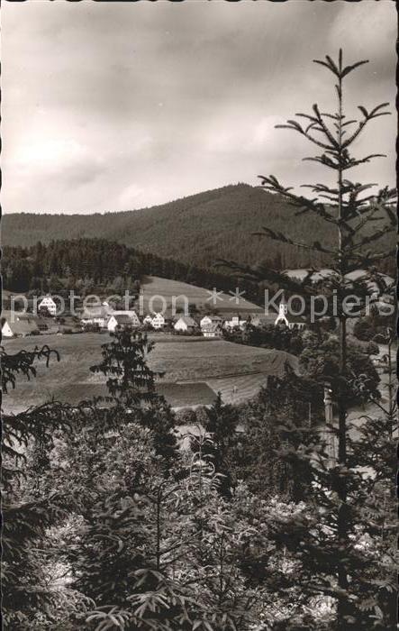 Schoenmuenzach Panorama Blick vom Waldrand Luftkurort Murgtal Schwarzwald
