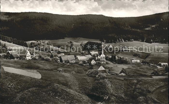 Schoenmuenzach Panorama Luftkurort Murgtal Schwarzwald