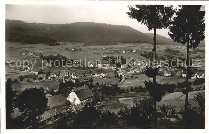 Mitteltal Schwarzwald Panorama Luftkurort