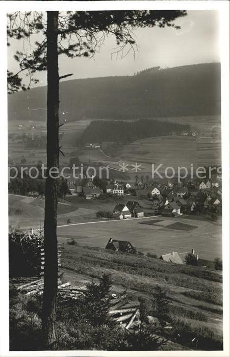 Mitteltal Schwarzwald Blick ins Tal Luftkurort
