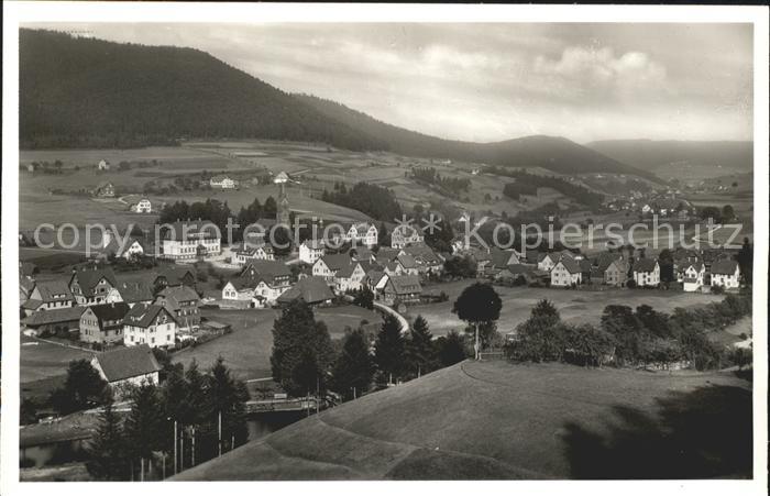 Mitteltal Schwarzwald Panorama Luftkurort