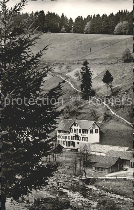 Schoenmuenzach Gasthaus zum Steinbock Luftkurort im Murgtal Schwarzwald