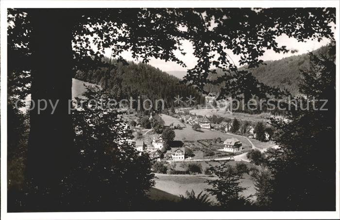 Schoenmuenzach Blick vom Waldrand Gasthof zum Schiff Kneipp und Luftkurort Murgt