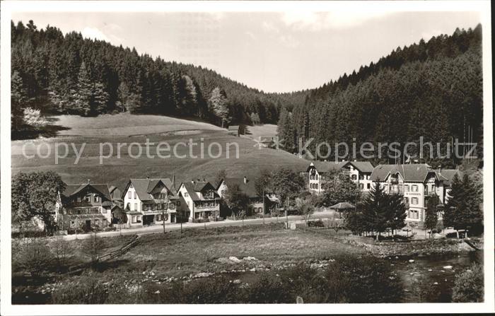Schoenmuenzach Hotel Waldhorn Kneipp und Luftkurort Murgtal Schwarzwald