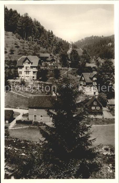 Schoenmuenzach Pension Sommerberg Kneipp und Luftkurort Murgtal Schwarzwald