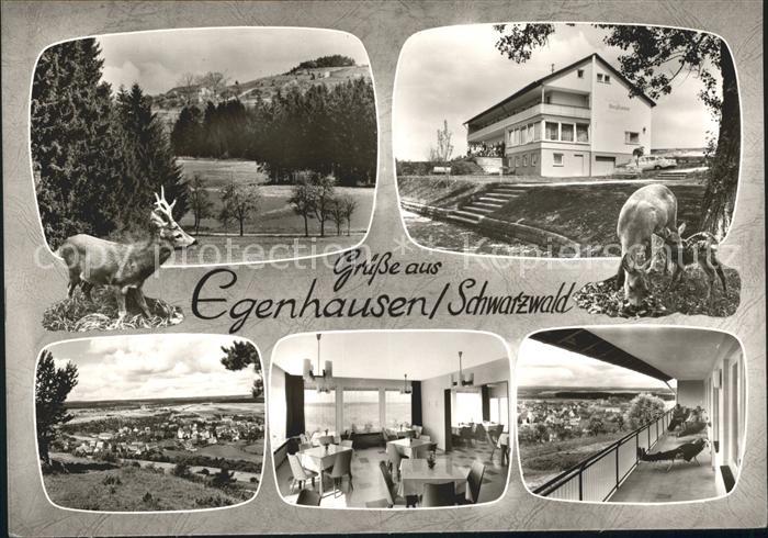 Egenhausen Wuerttemberg Kurhaus Bergfrieden Cafe Restaurant Schwarzwald Hirsch R