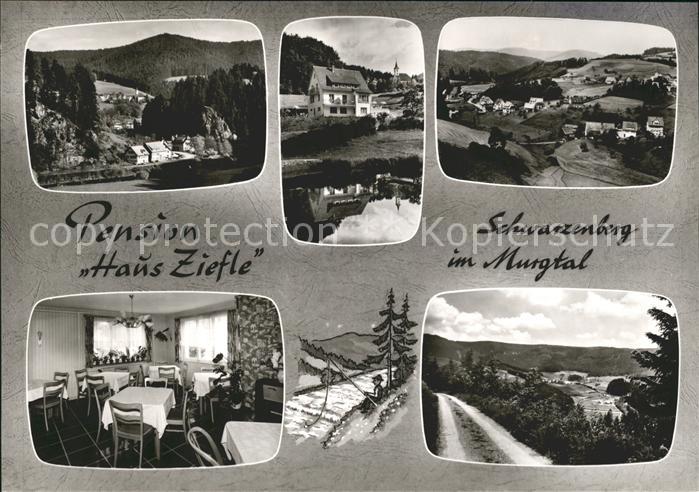 Schwarzenberg Baiersbronn Panorama Murgtal Pension Haus Ziefle Bromsilber