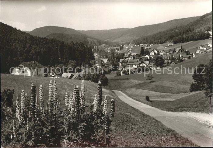 Buhlbach Obertal Panorama Sommer und Wintersportplatz Schwarzwald Blumen