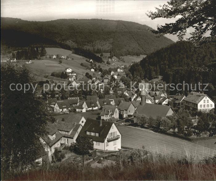 Buhlbach Obertal Panorama Sommer und Wintersportplatz Schwarzwald