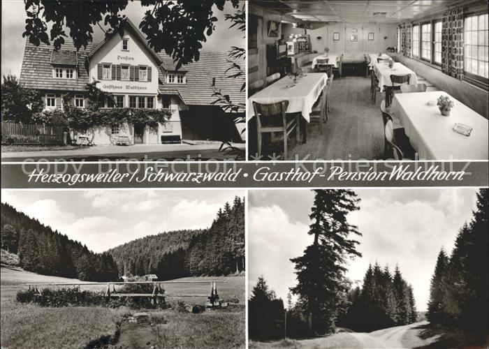 Herzogsweiler Gasthof Pension Waldhorn Bachlauf Waldpartie Hoehenluftkurort Schw