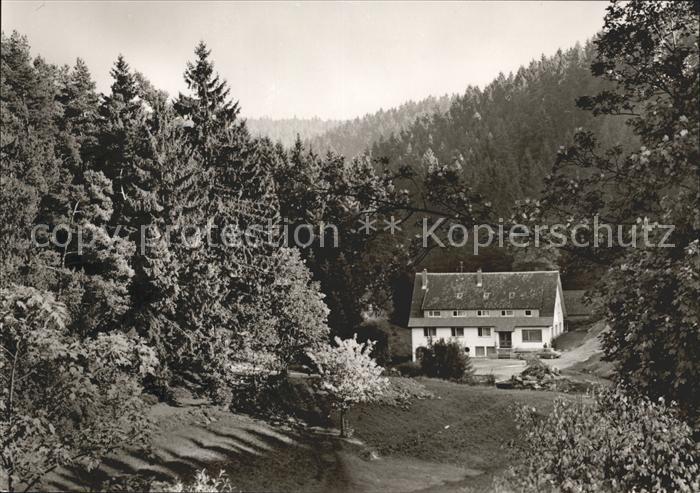 Besenfeld Schwarzwaldmuehle Hoehenluftkurort Wintersportplatz Schwarzwald