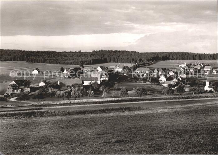 Besenfeld Panorama Hoehenluftkurort Wintersportplatz Schwarzwald