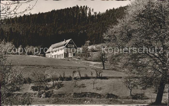 Enzkloesterle Pension Berghof