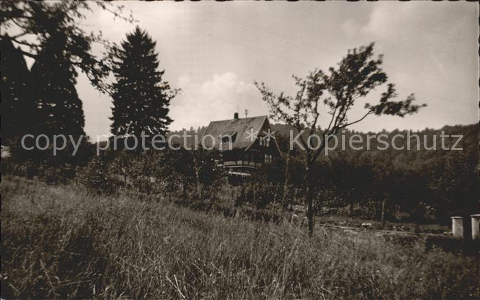 Gernsbach Forstgerten